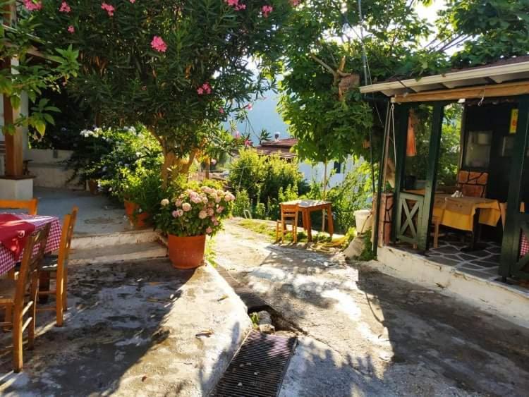Lefkada Villas Panoramic Katouna Extérieur photo